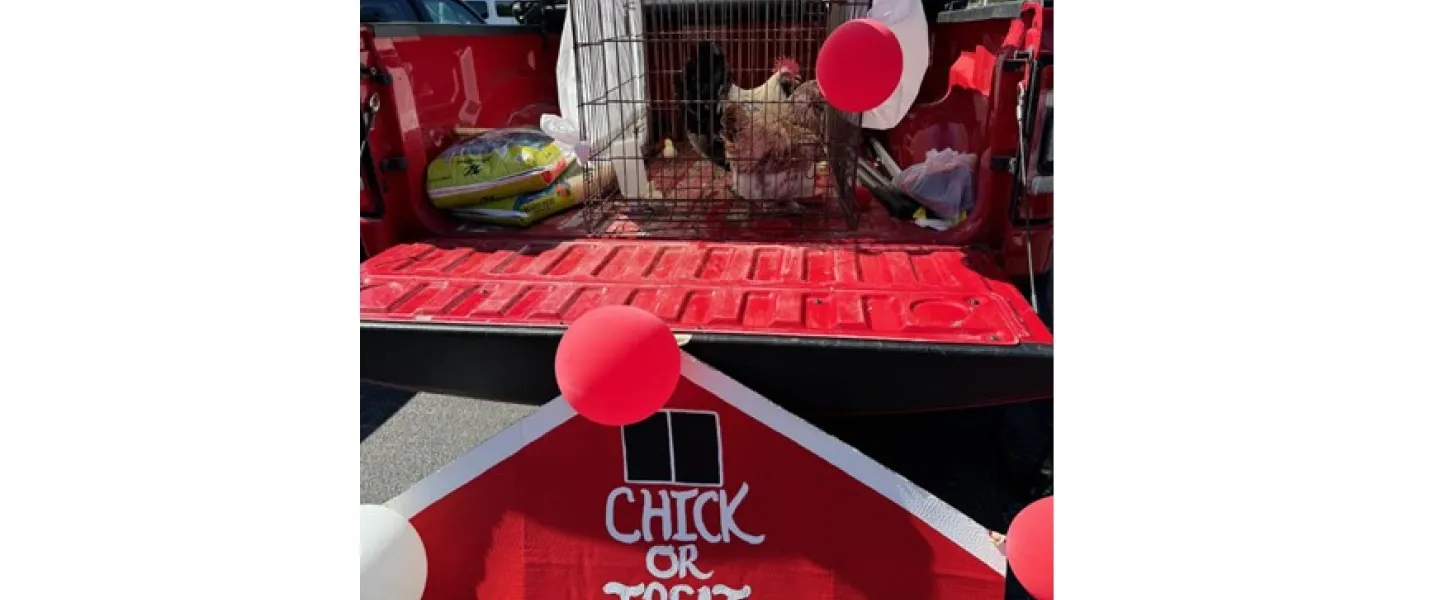 Chick or Treat trunk