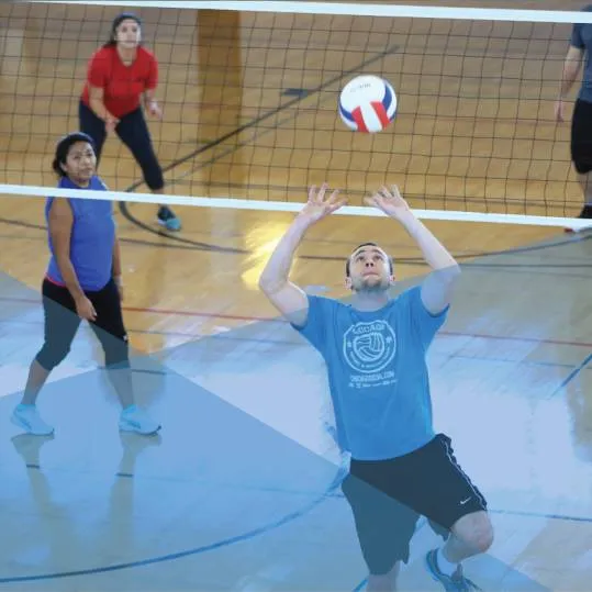 Adult Volleyballs